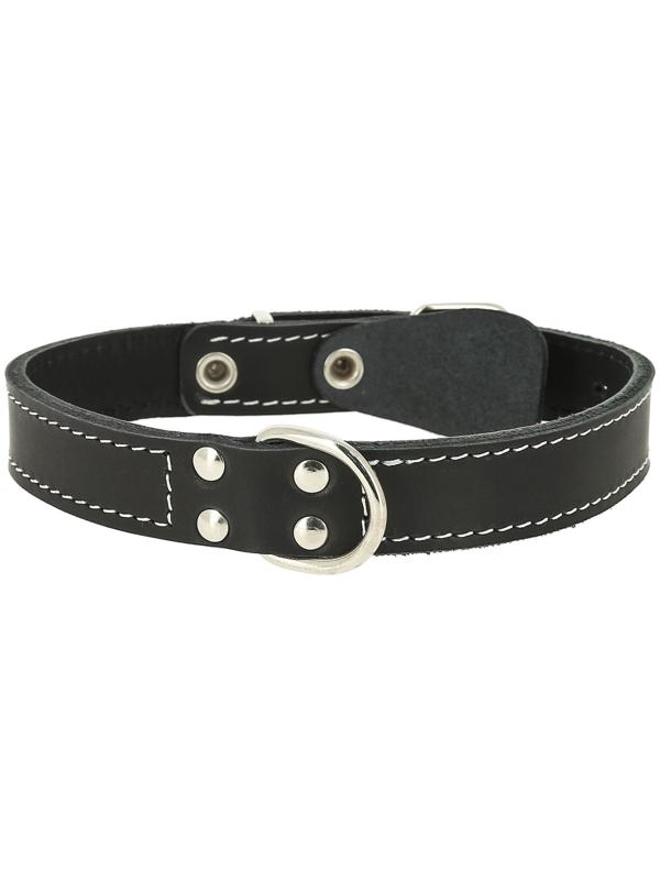 Ошейник кожаный двухслойный, с кольцом посередине, ОШ 44-53 х 3 см, микс цветов