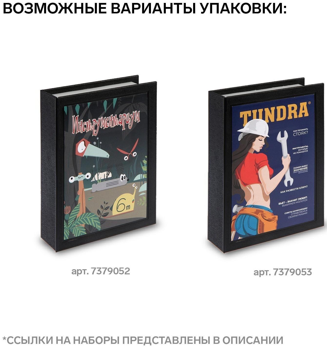 Набор инструментов ТУНДРА, подарочный пластиковый кейс 