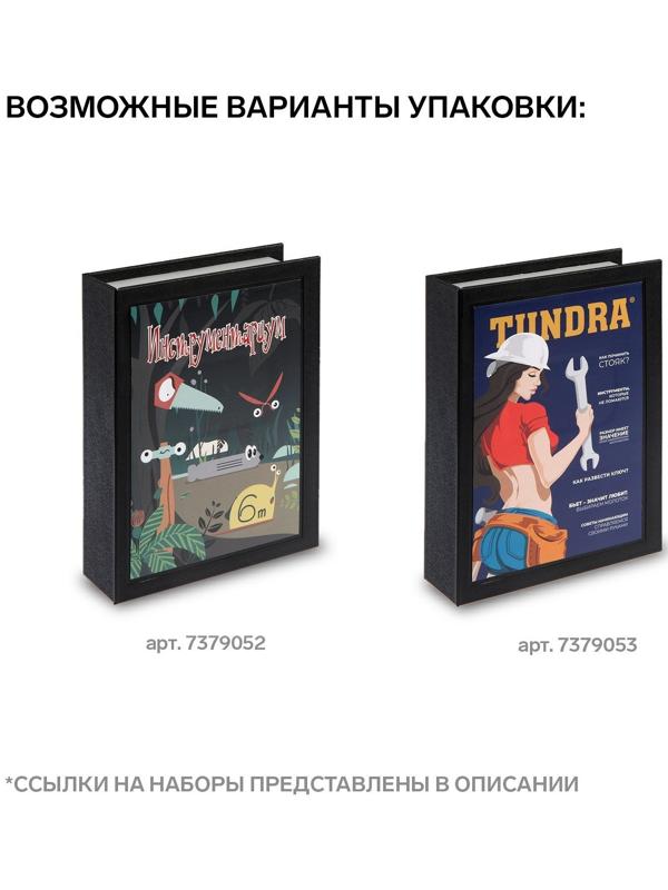 Набор инструментов ТУНДРА, подарочный пластиковый кейс 