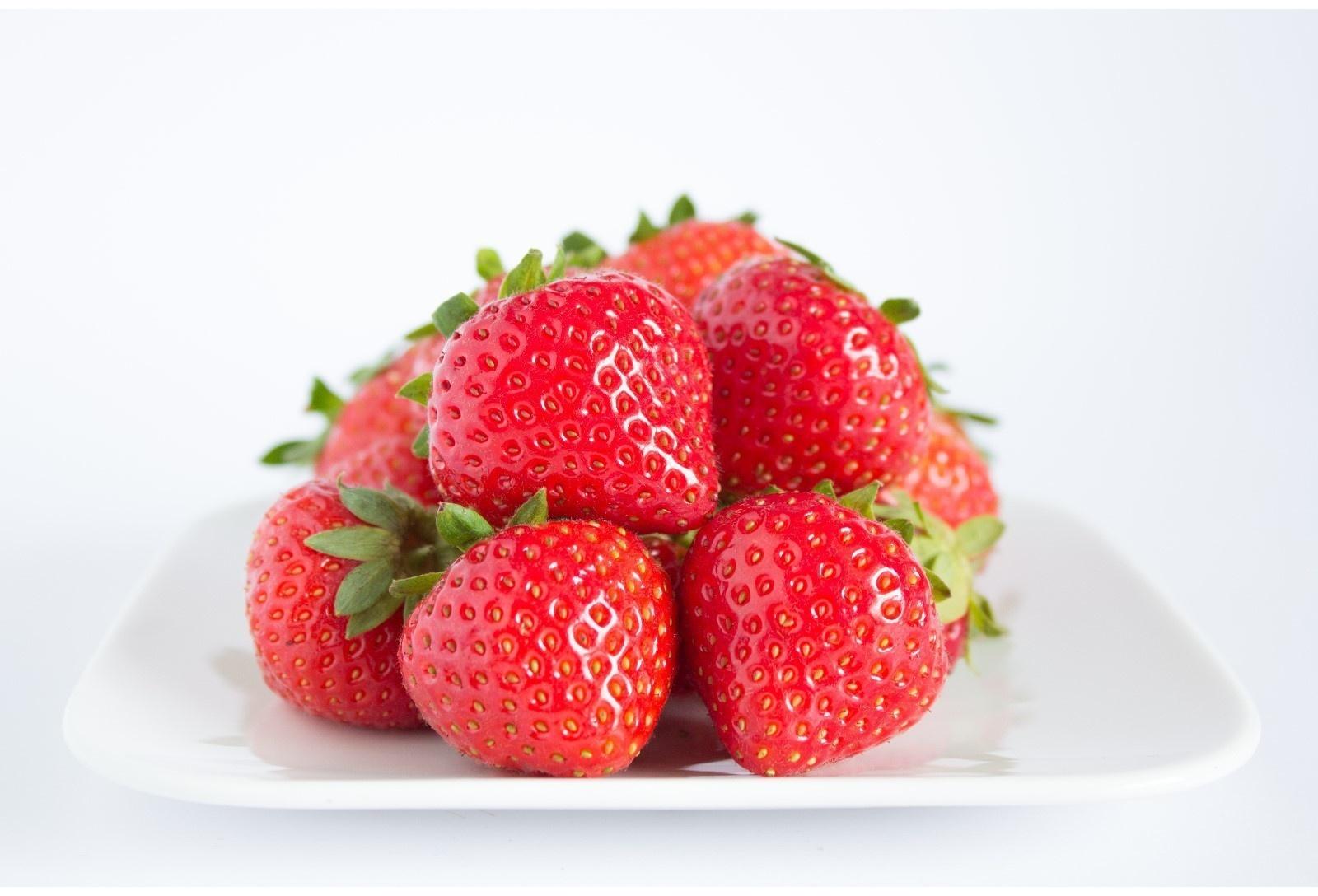 Рассада Земляники Бравура, горшок P9