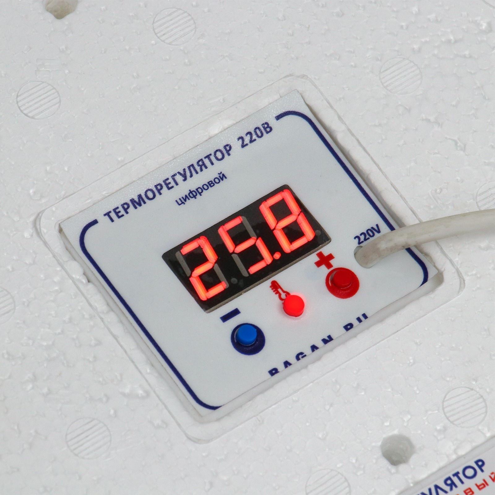 Инкубатор бытовой, на 63 яйца, автоматический переворот, цифровой термометр, 220 В