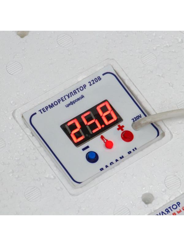 Инкубатор бытовой, на 63 яйца, автоматический переворот, цифровой термометр, 220 В