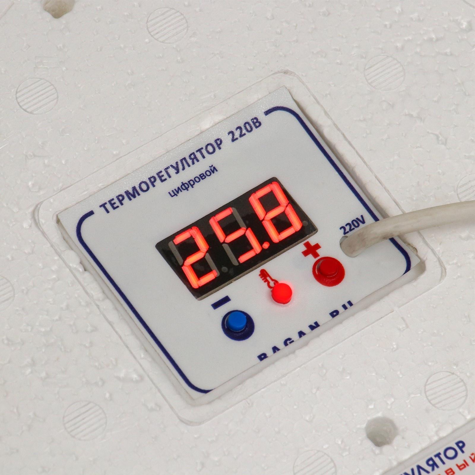 Инкубатор бытовой, на 63 яйца, автоматический переворот, цифровой термометр, 220 В/12 B