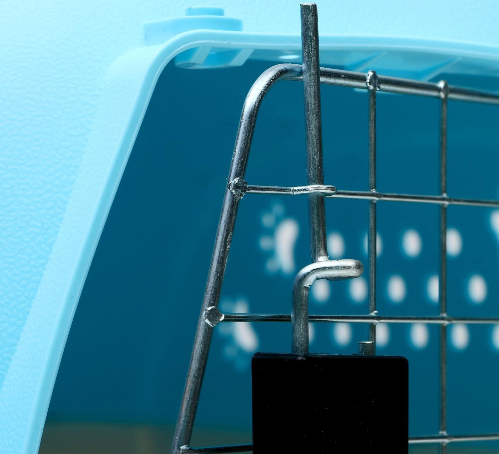 Переноска пластиковая, 47,5 х 33 х 31 см, голубая