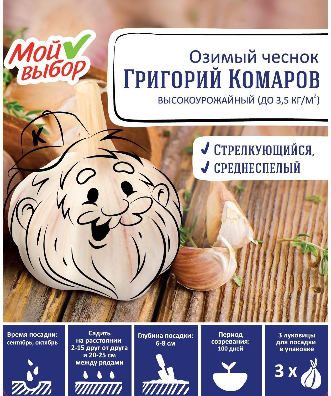 Чеснок озимый Григорий Комаров 30+, упаковка 3 шт