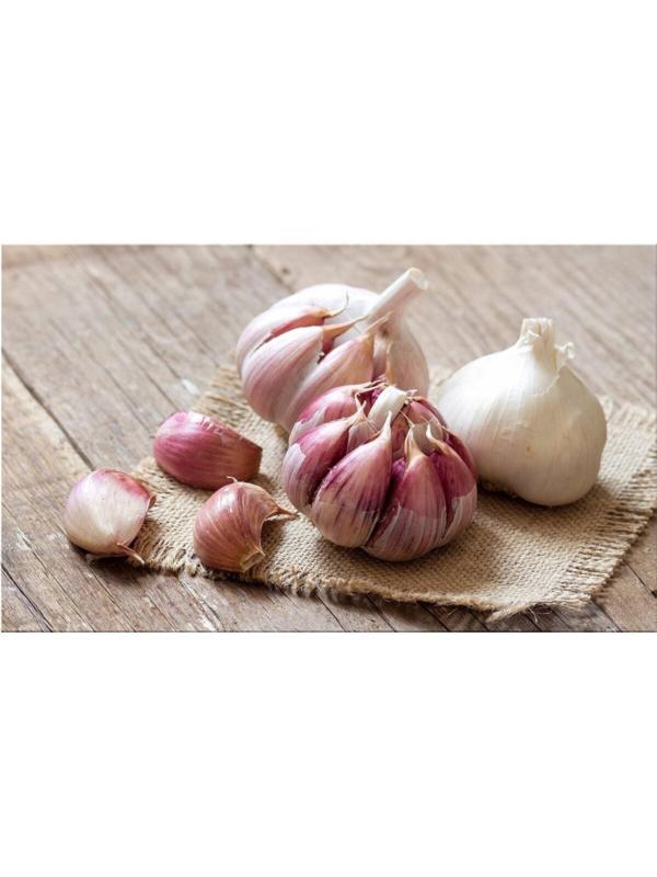 Чеснок озимый Григорий Комаров 30+, упаковка 3 шт