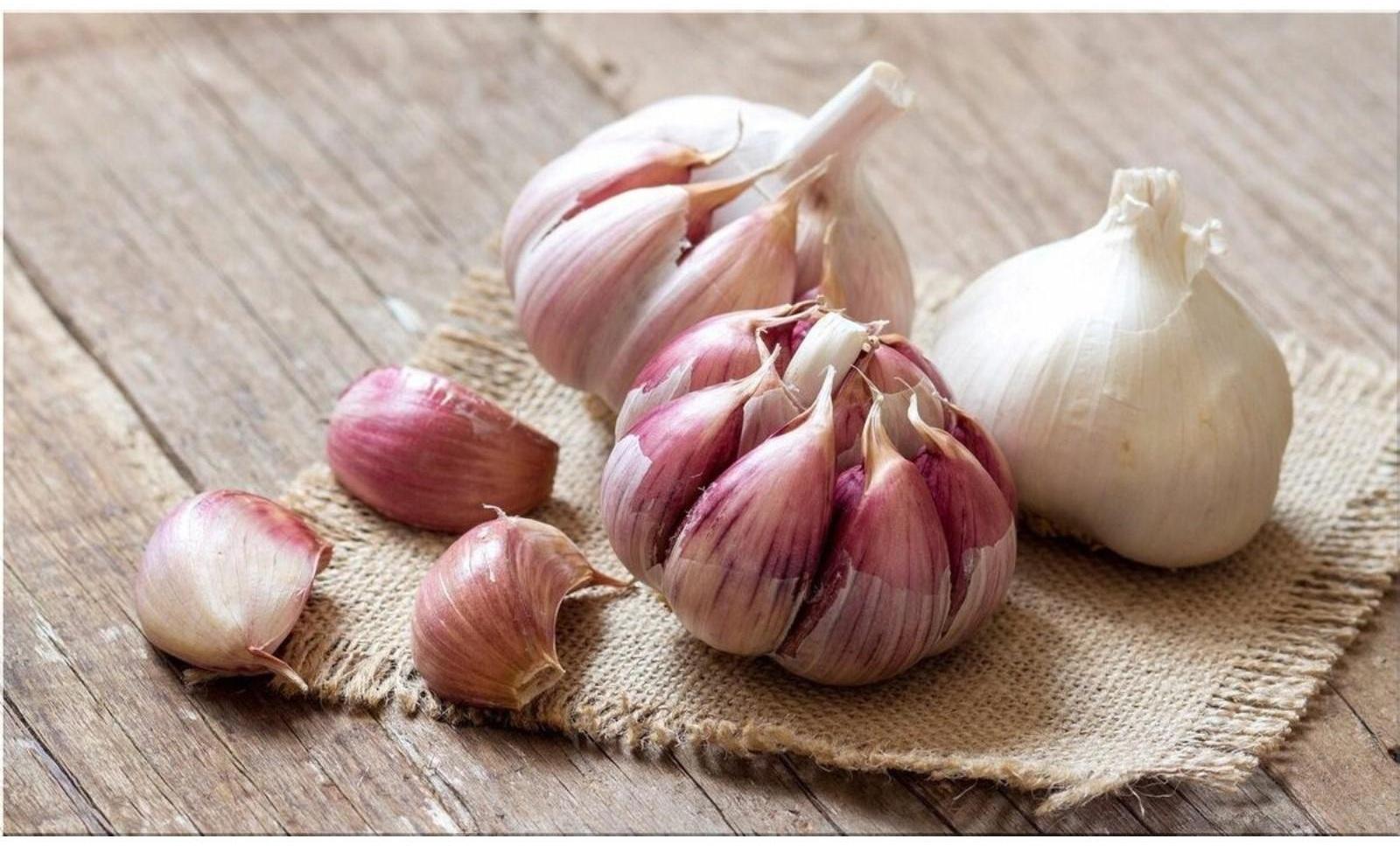 Чеснок озимый Григорий Комаров 30+, сетка 10 кг