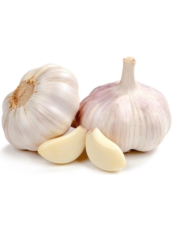 Чеснок озимый Добрыня 40+, сетка 10 кг