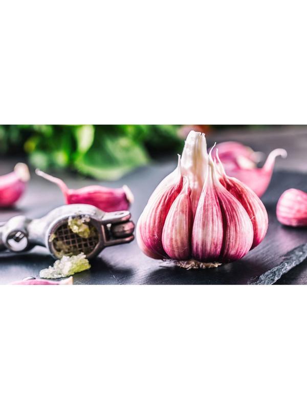 Чеснок озимый Любаша 30+, сетка 5 кг