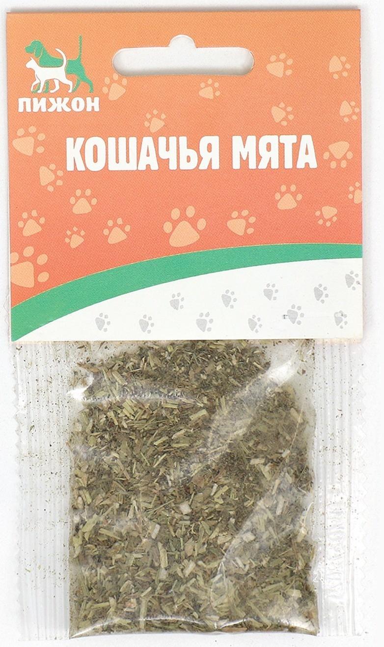 Кошачья мята 