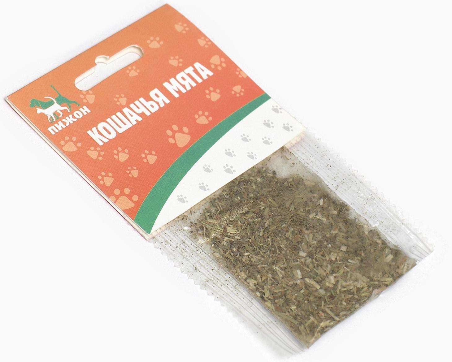 Кошачья мята 