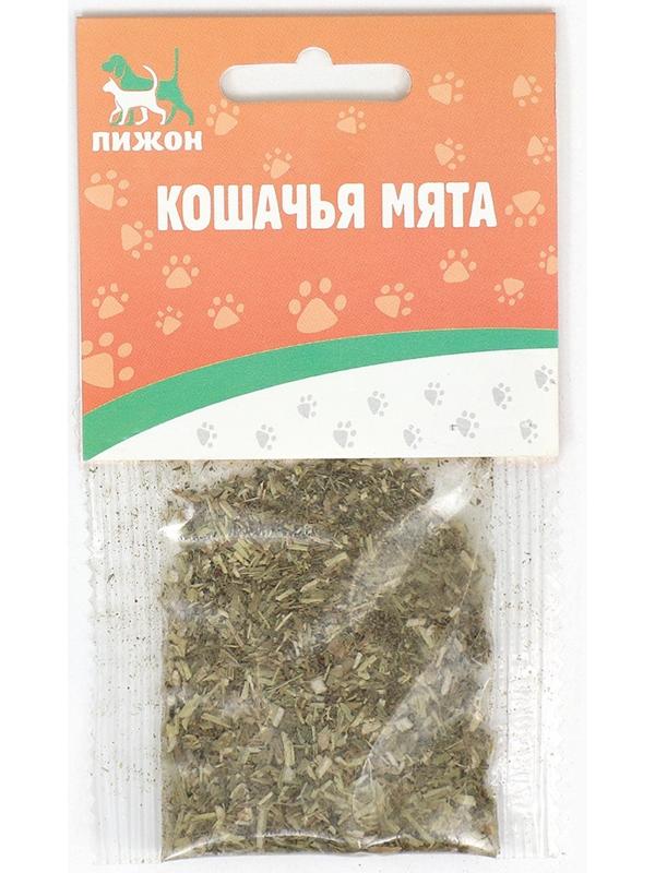 Кошачья мята 
