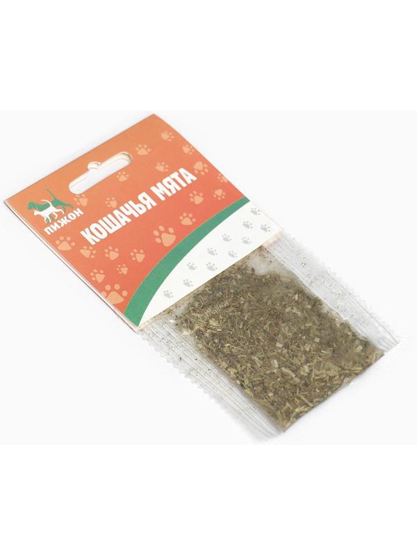 Кошачья мята 