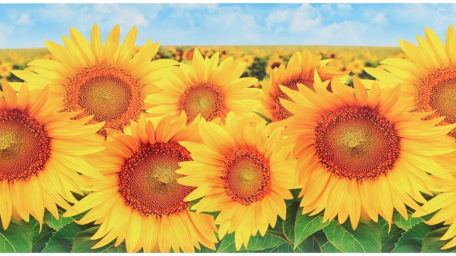 Кухонный фартук ПВХ 