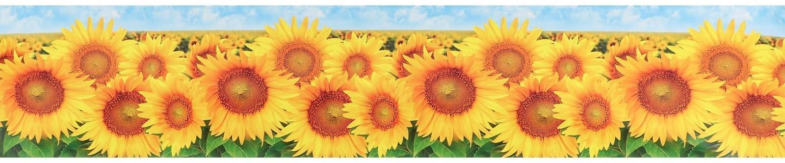 Кухонный фартук ПВХ 