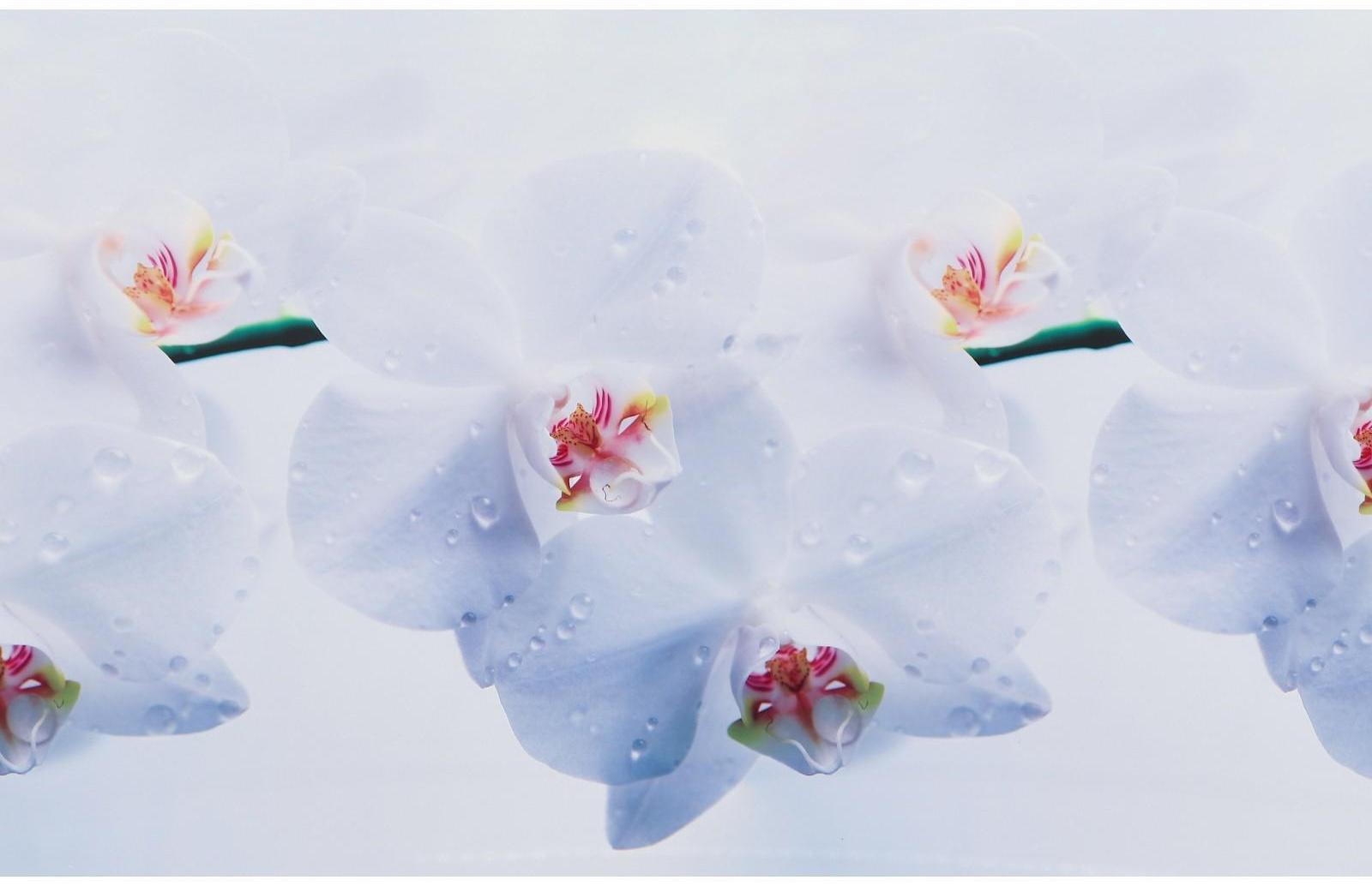 Кухонный фартук ПВХ 