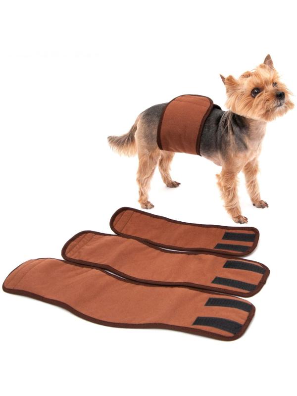 Пояс для кобелей многоразовый, XXS (обхват талии  20-24 см, ширина 8 см), коричневый