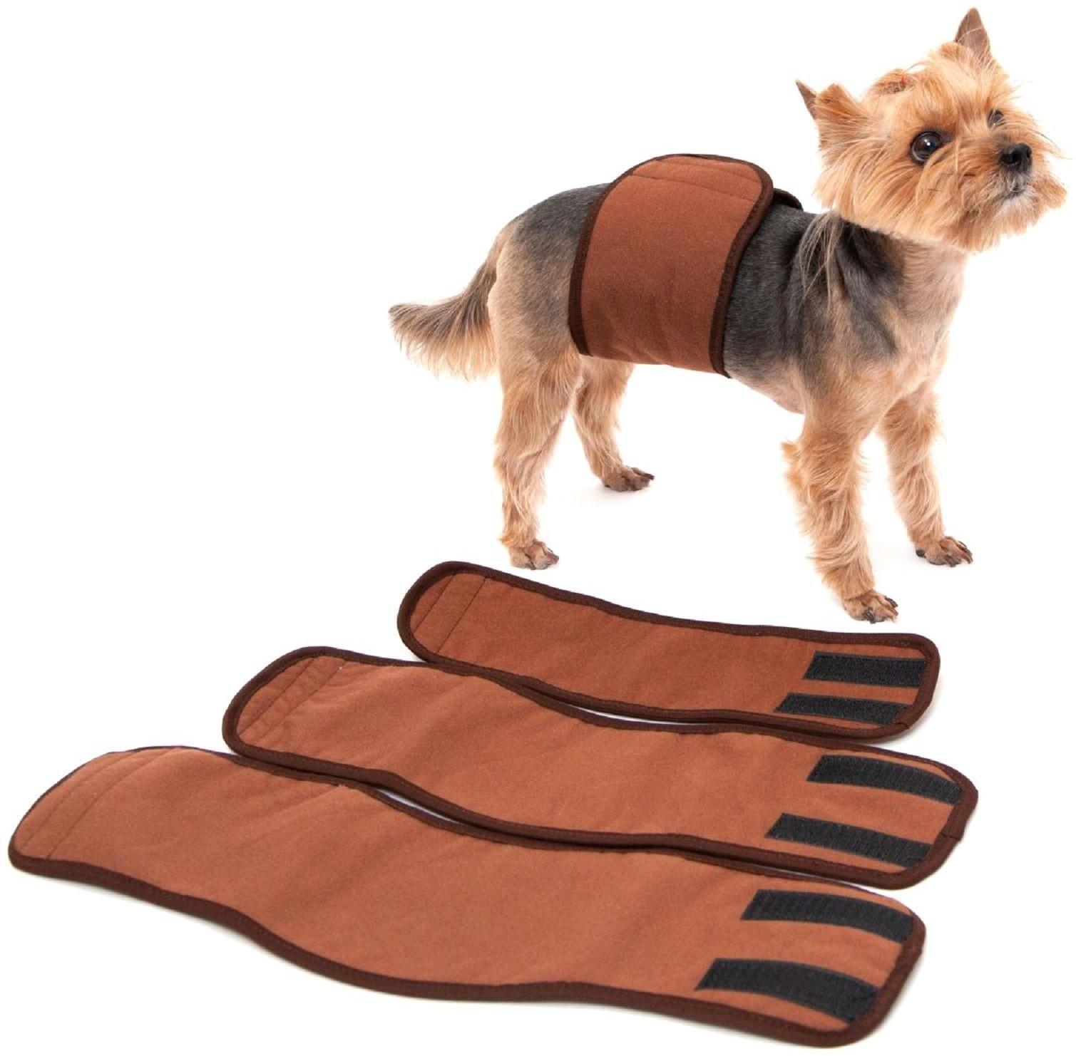 Пояс для кобелей многоразовый, XS (обхват талии 23-29 см, ширина 9 см), коричневый