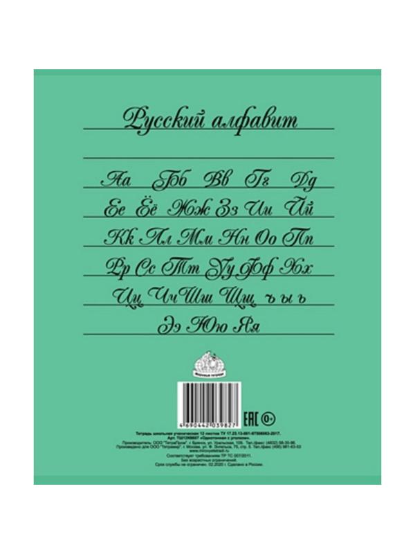 Тетрадь школьная А5 12л,линия,скрепка Однотонная. С уголком ТШ12К6607