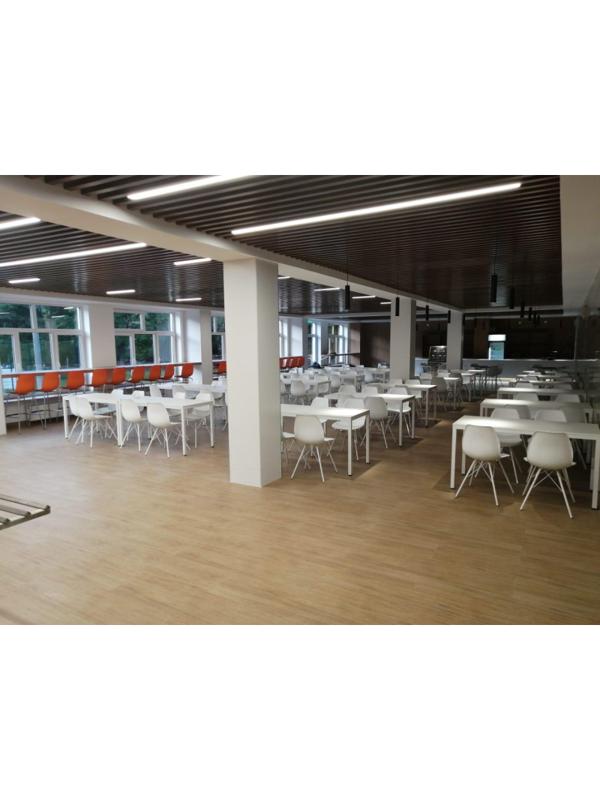 Стул для столовых EL_SHT-ST29/S37 пластик белый/белый