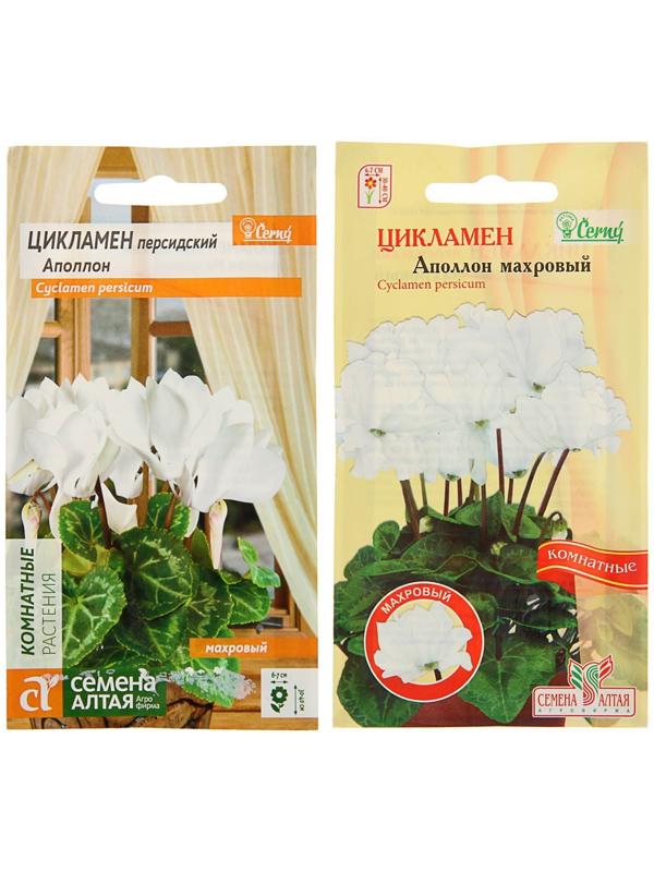 Семена комнатных цветов Цикламен 