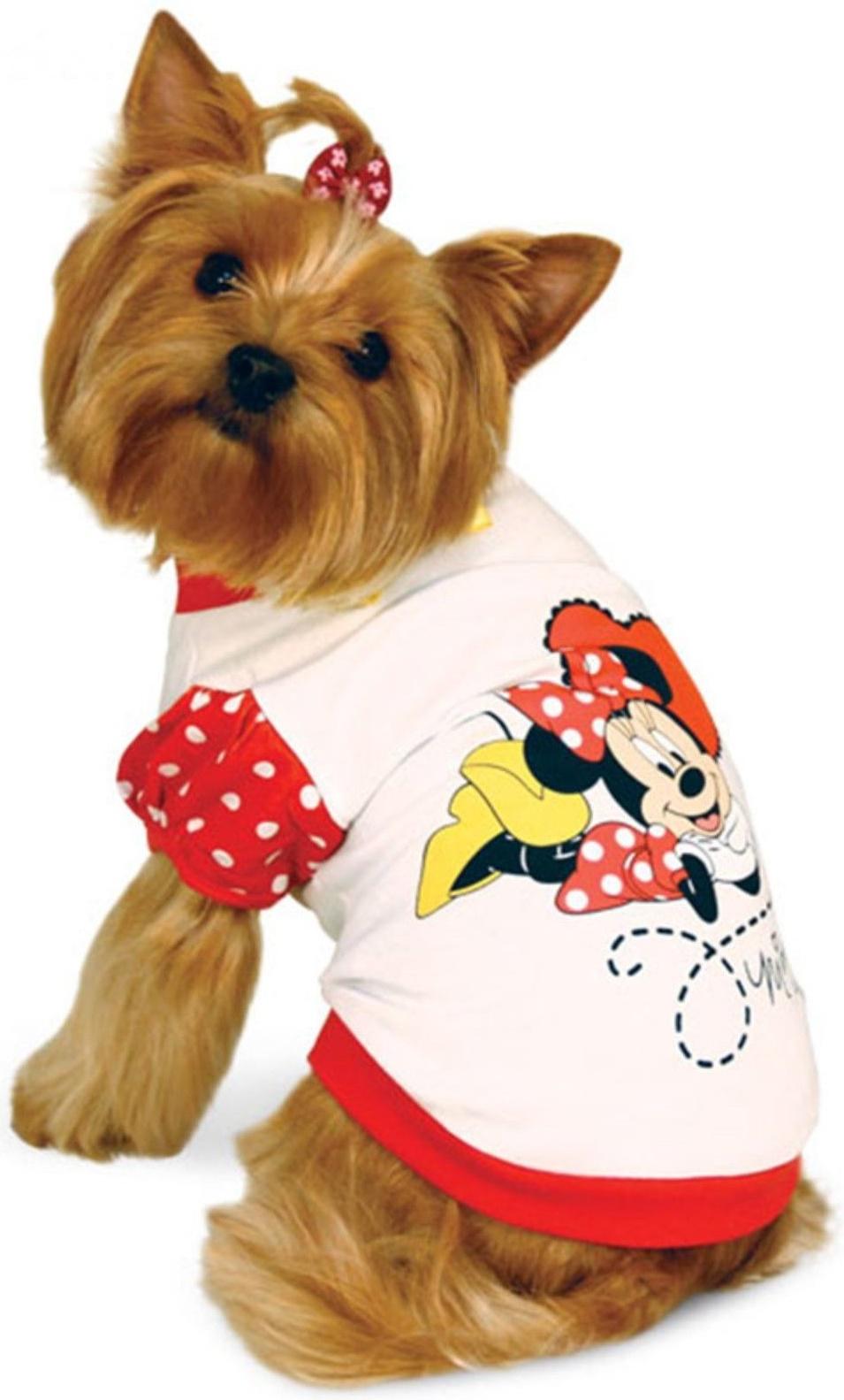 Футболка Triol-Disney 