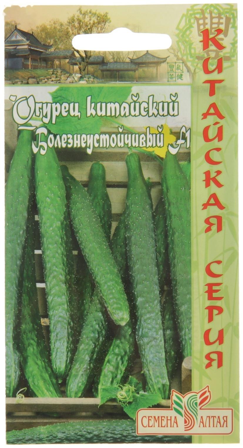 Семена Огурец Китайский 