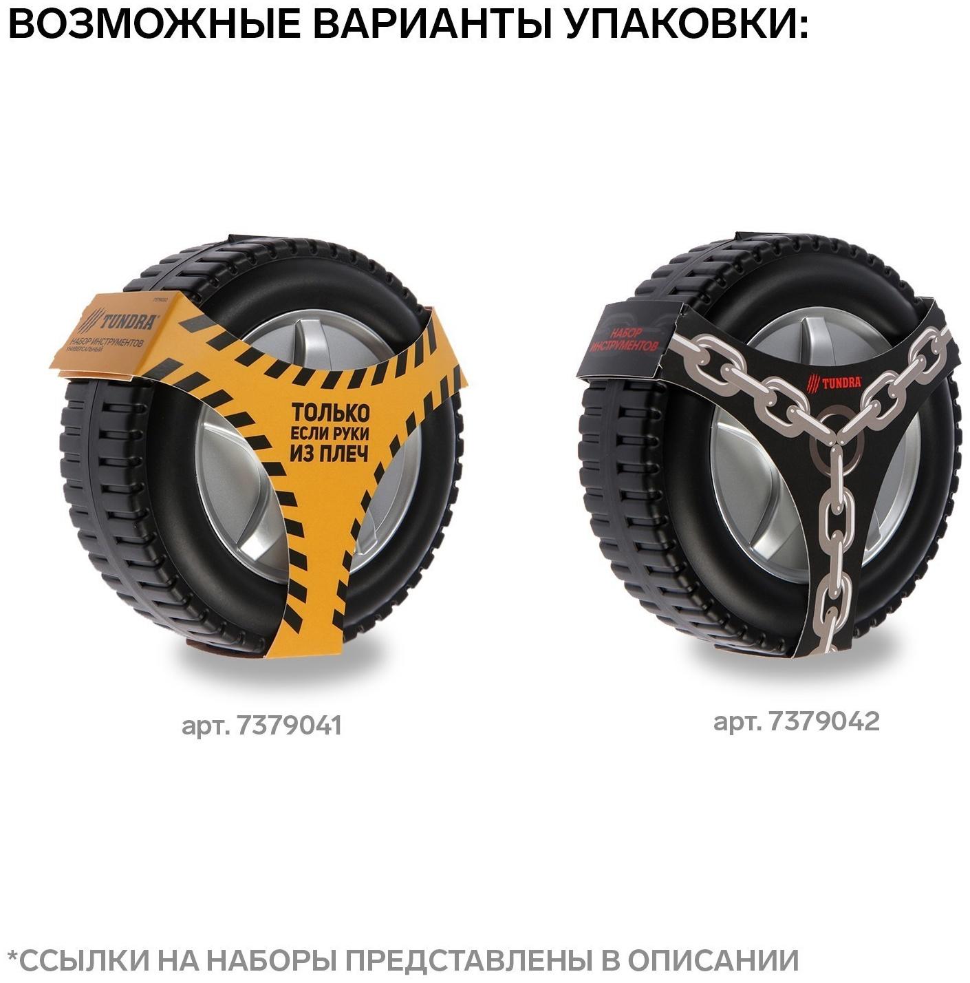 Набор инструментов ТУНДРА, подарочный пластиковый кейс 
