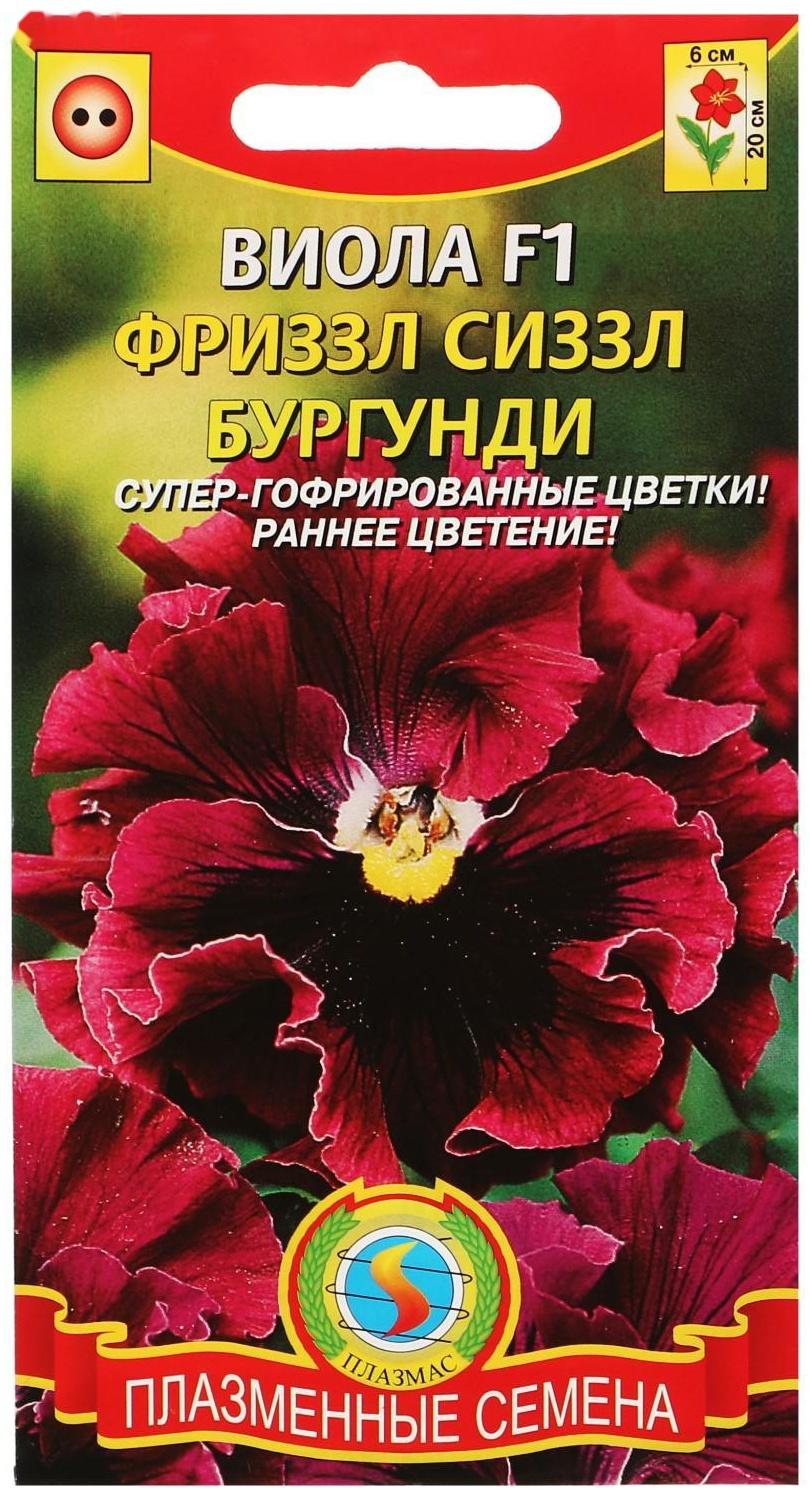 Семена Виола 