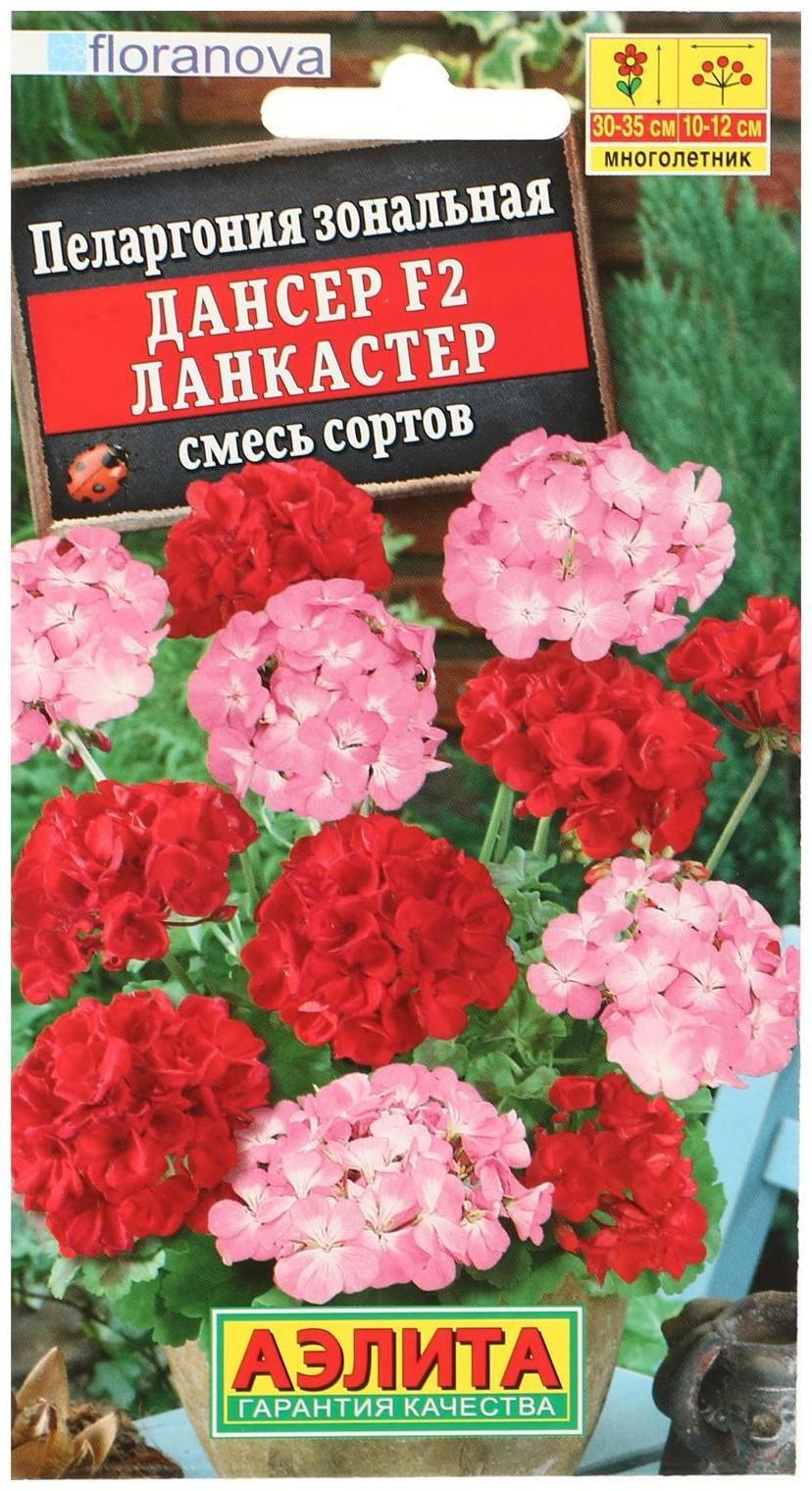 Семена цветов Пеларгония 