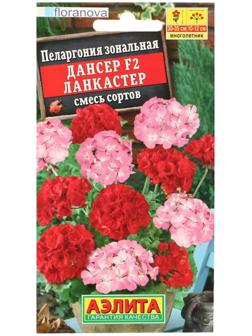 Семена цветов Пеларгония 