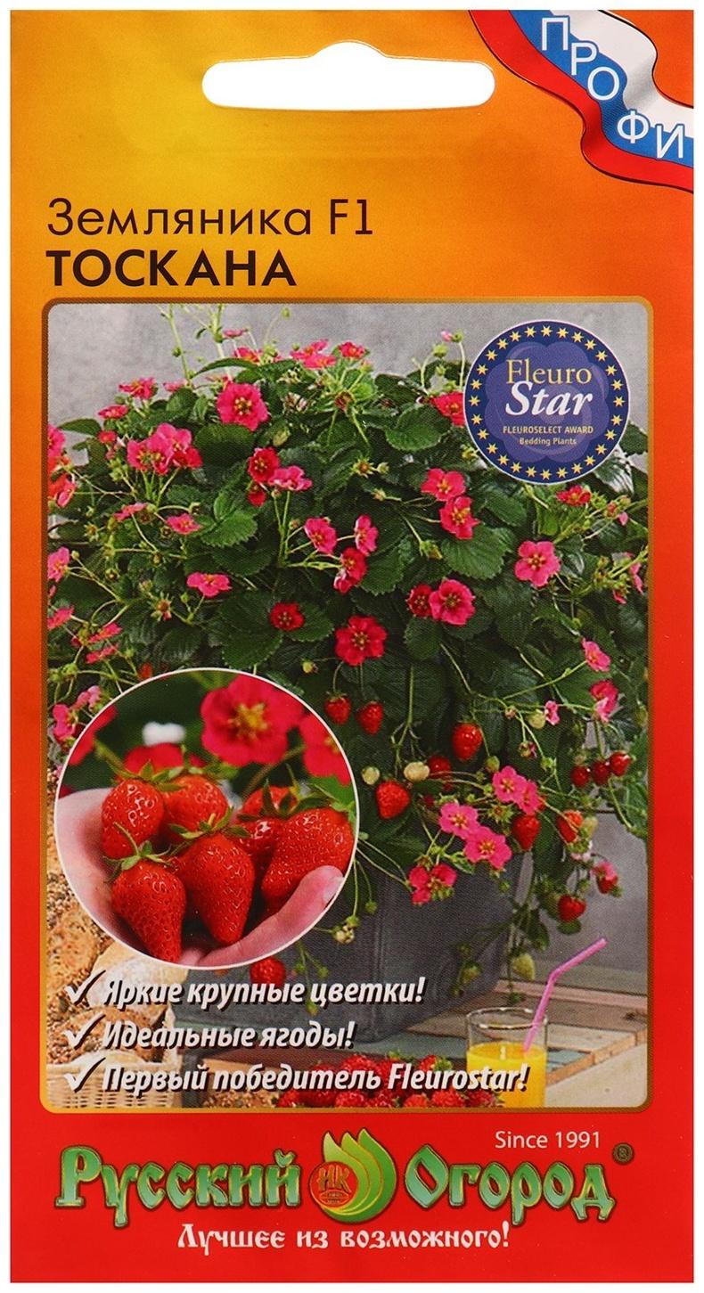 Семена Земляника 