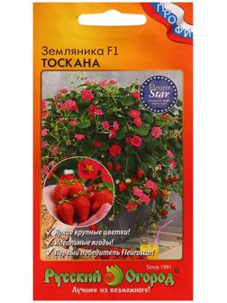 Семена Земляника 