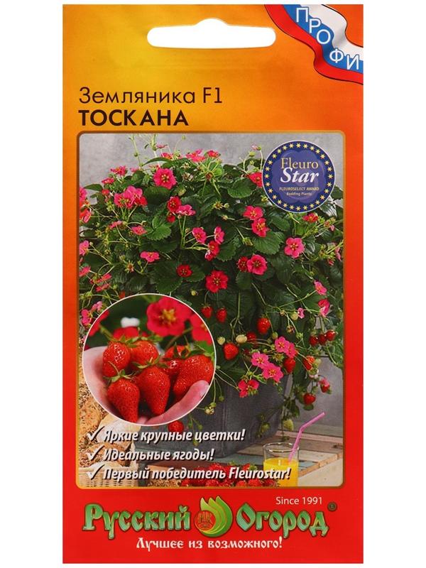 Семена Земляника 