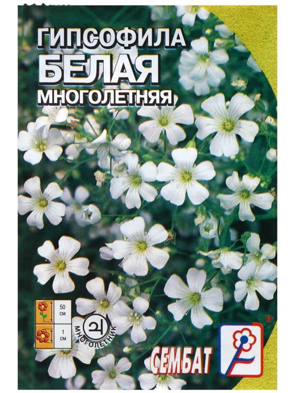 Семена цветов Гипсофила 