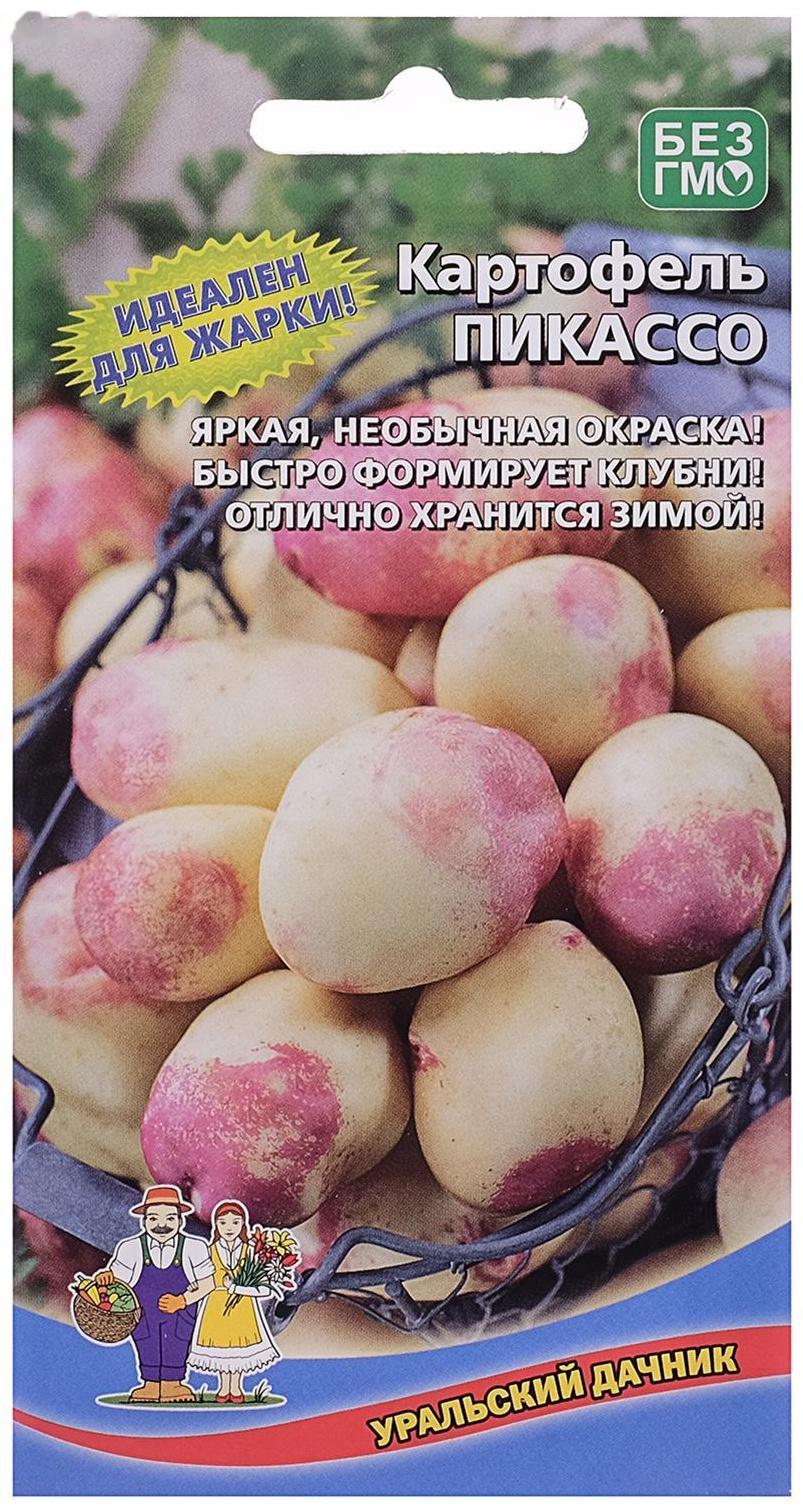 Семена Картофель 