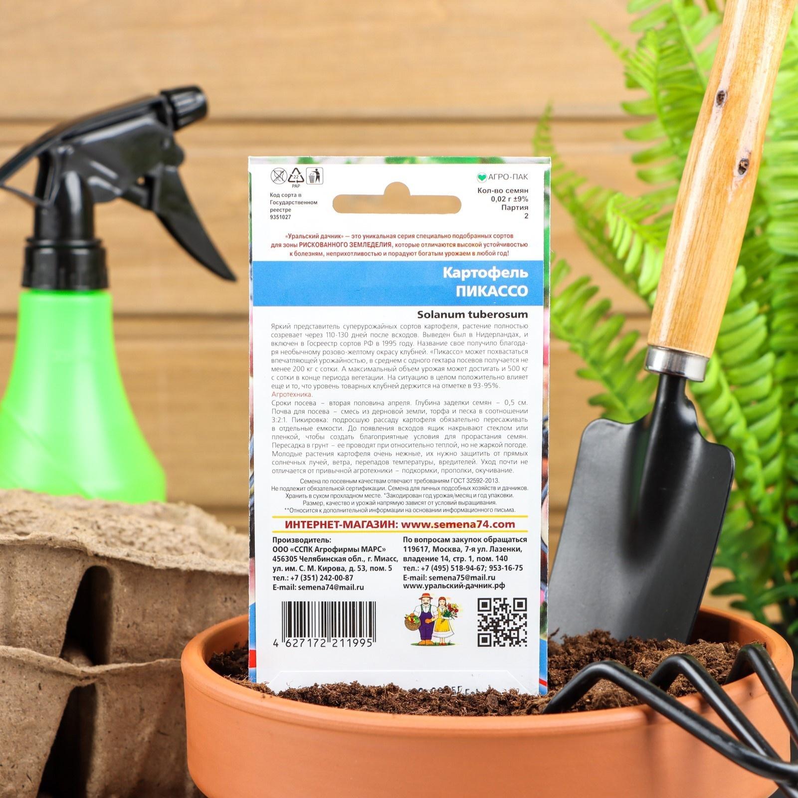 Семена Картофель 