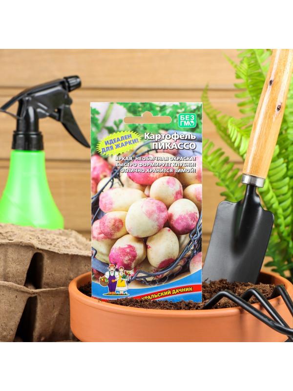 Семена Картофель 