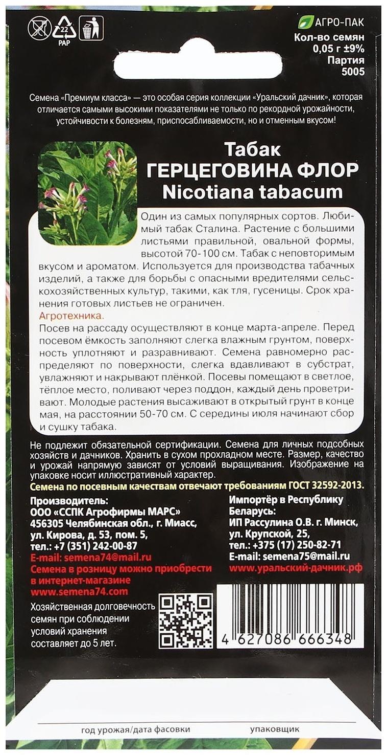 Семена Табак 