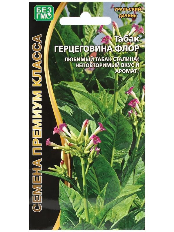 Семена Табак 