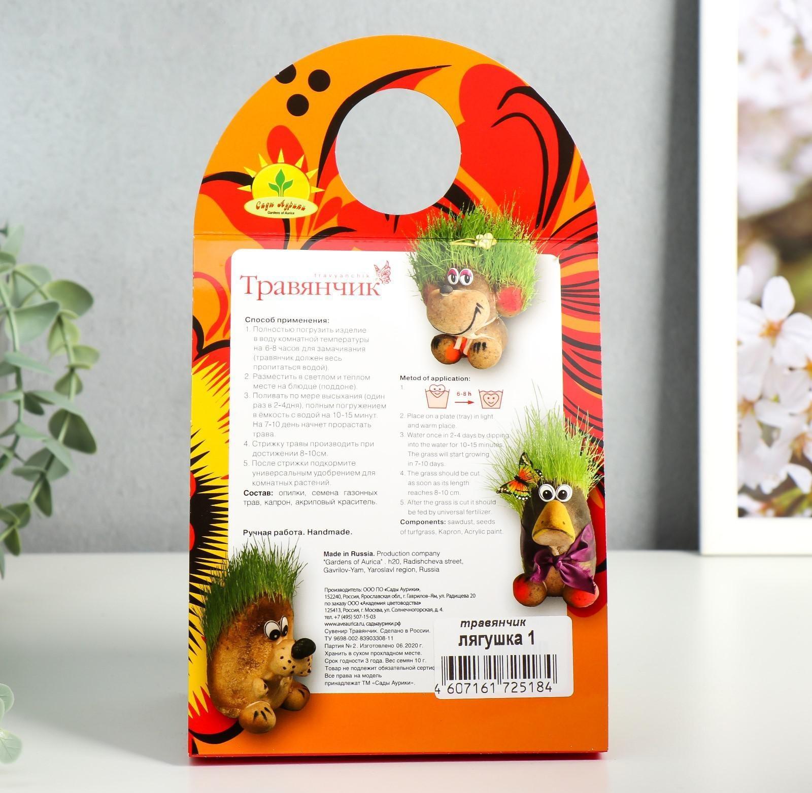 Растущий подарок травка 