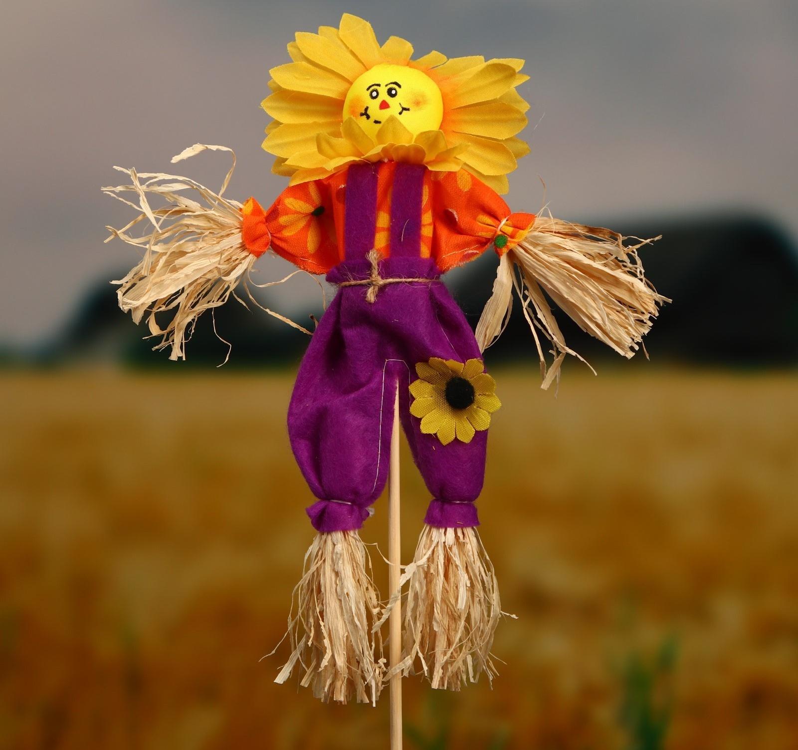 Огородное пугало «Солнце», h = 50 см, МИКС, Greengo