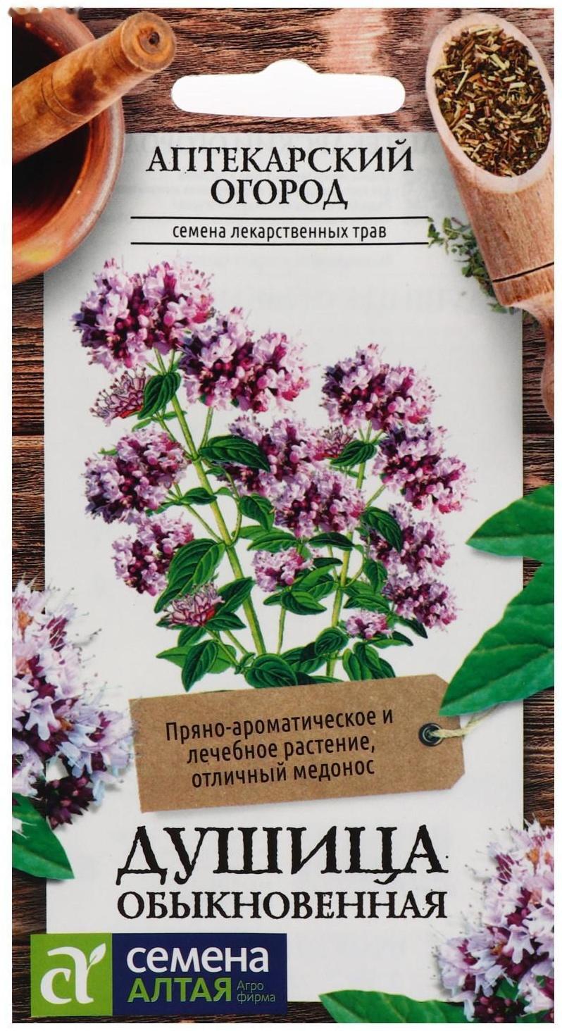 Семена  Душица 