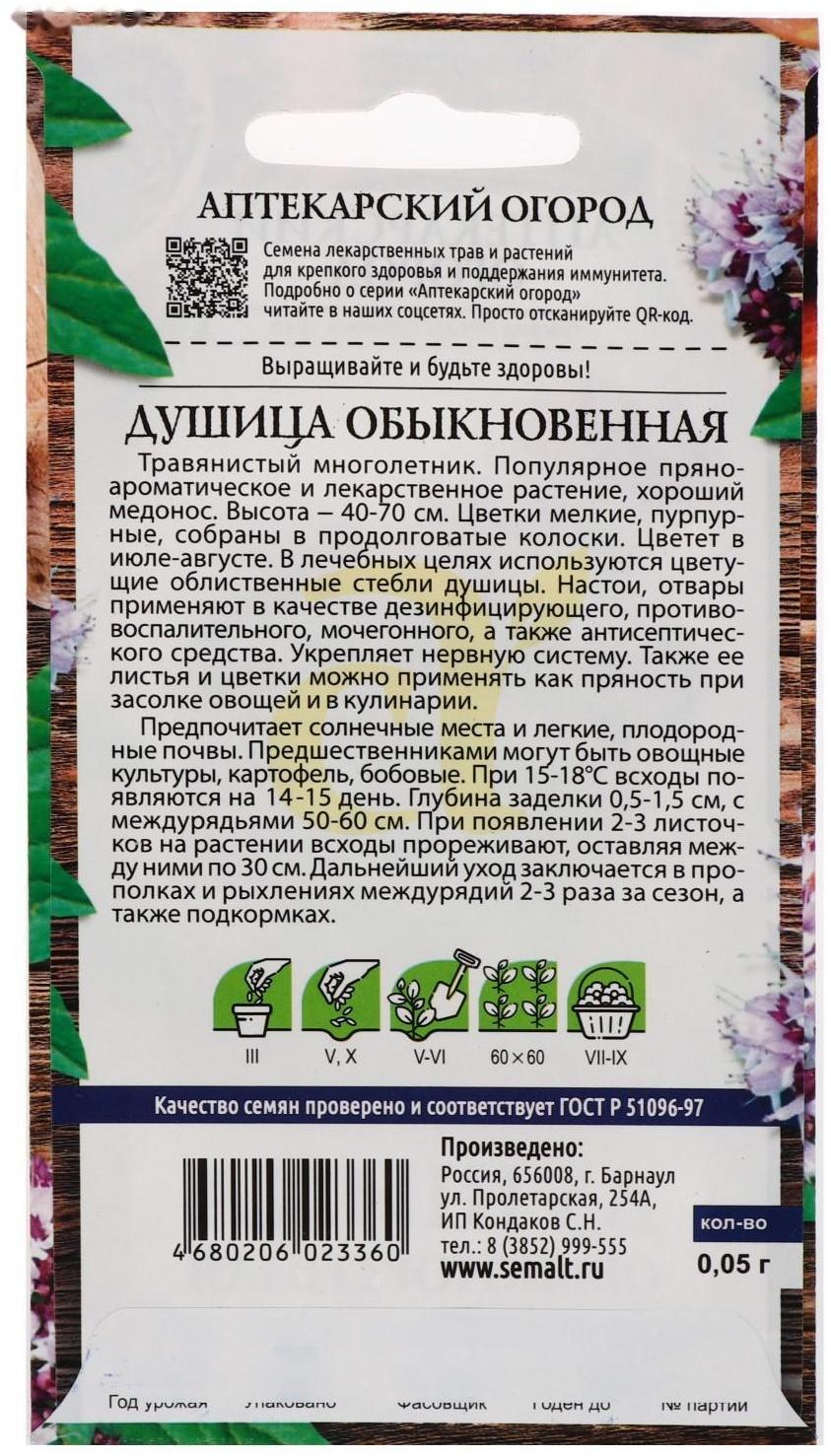 Семена  Душица 