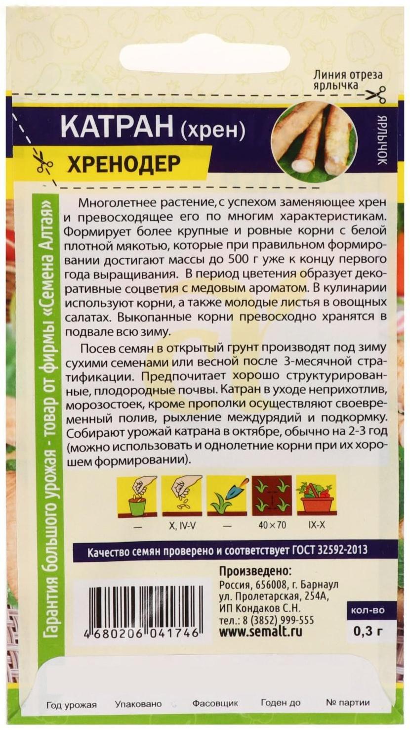 Семена  Катран Хрен 