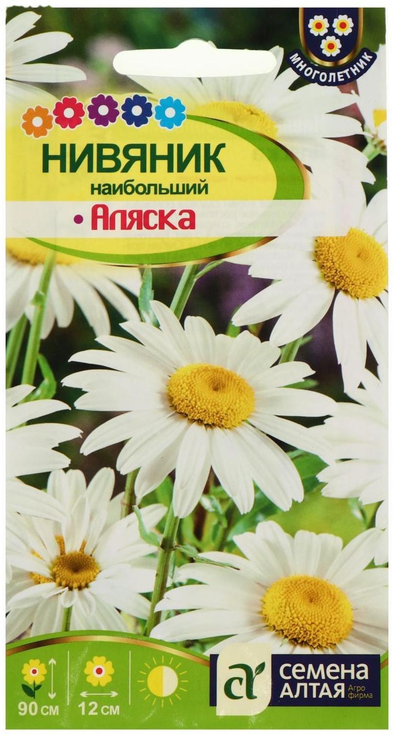 Семена цветов Нивяник 