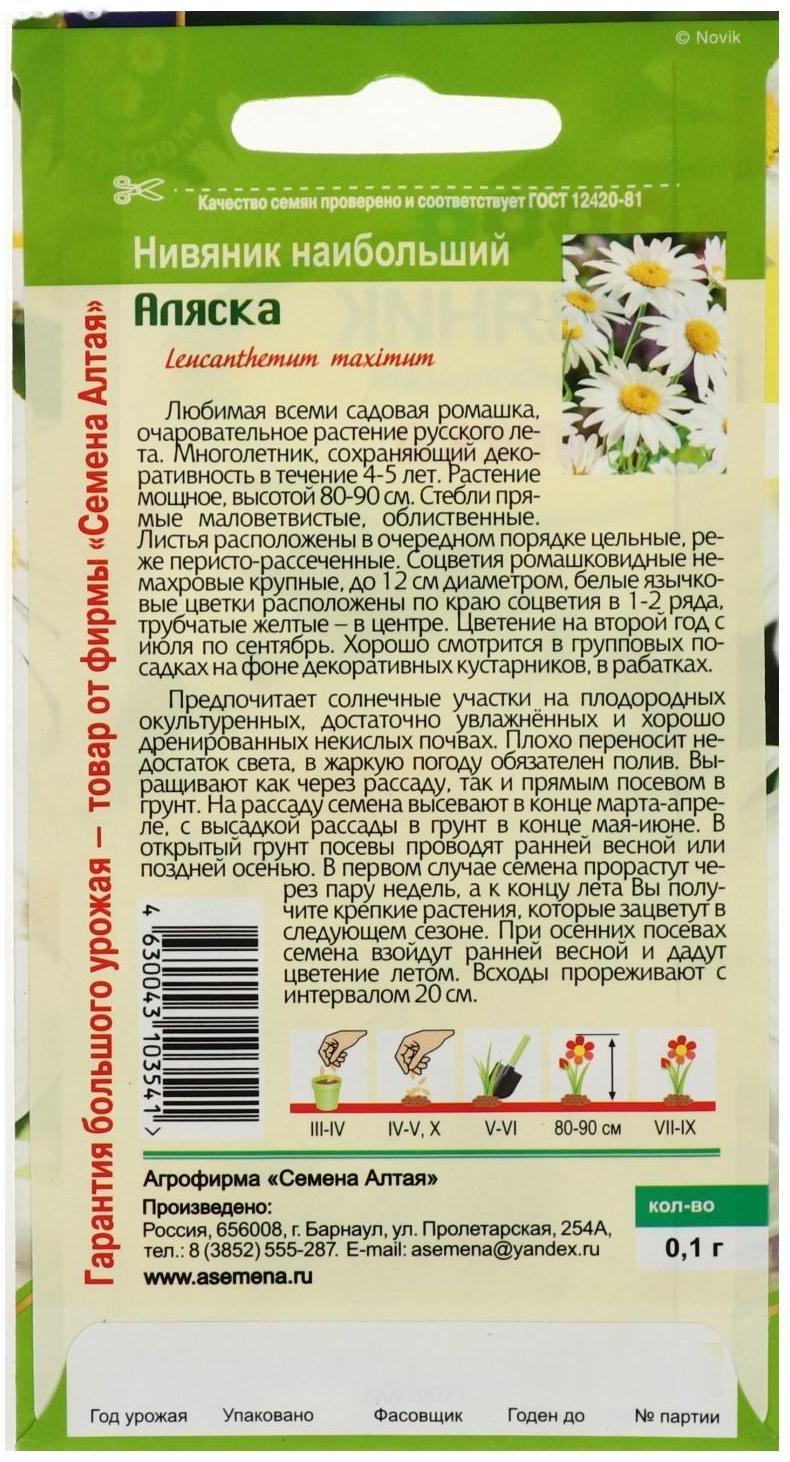 Семена цветов Нивяник 