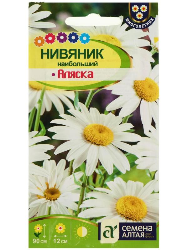 Семена цветов Нивяник 