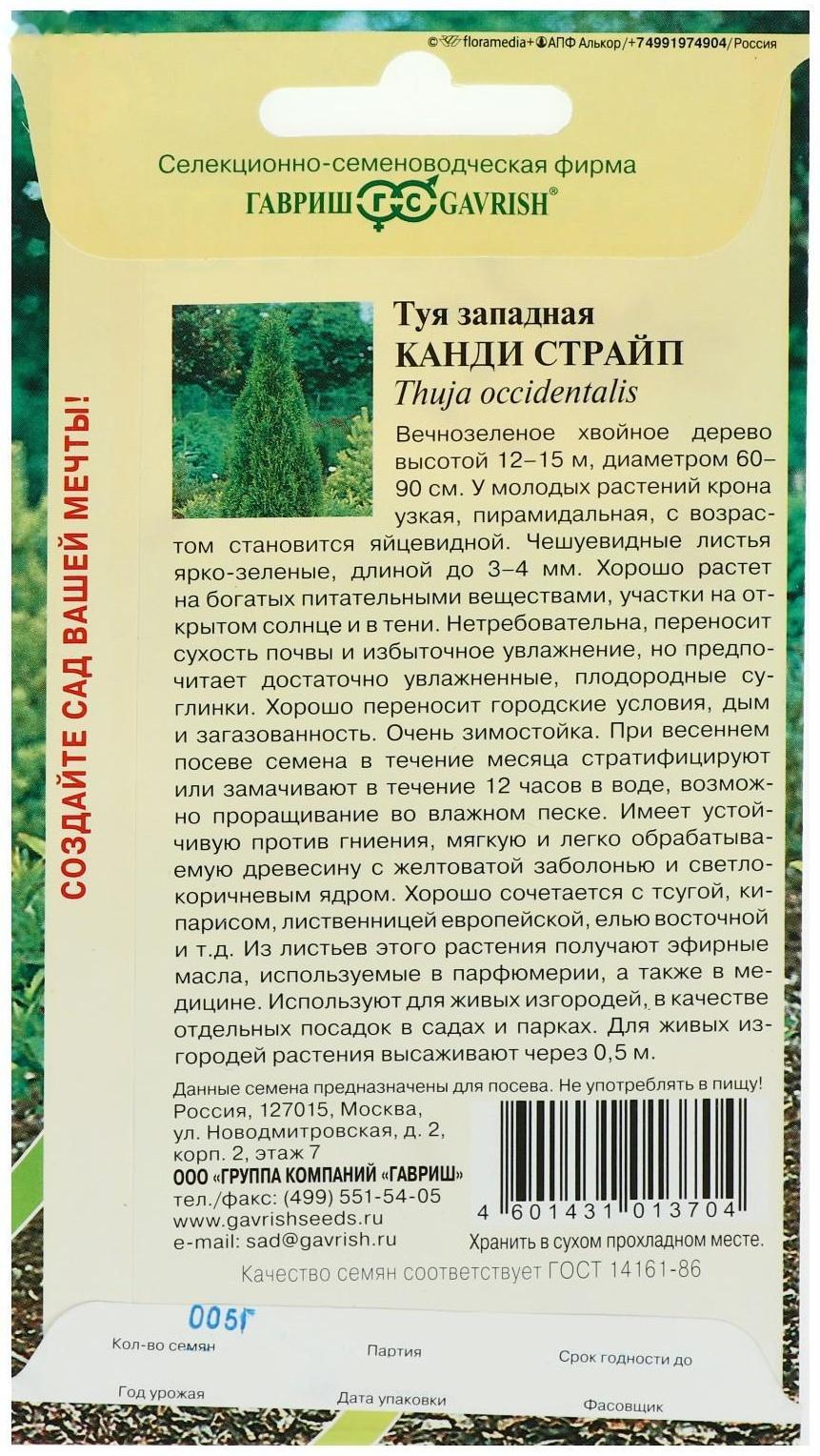 Семена Туя западная 