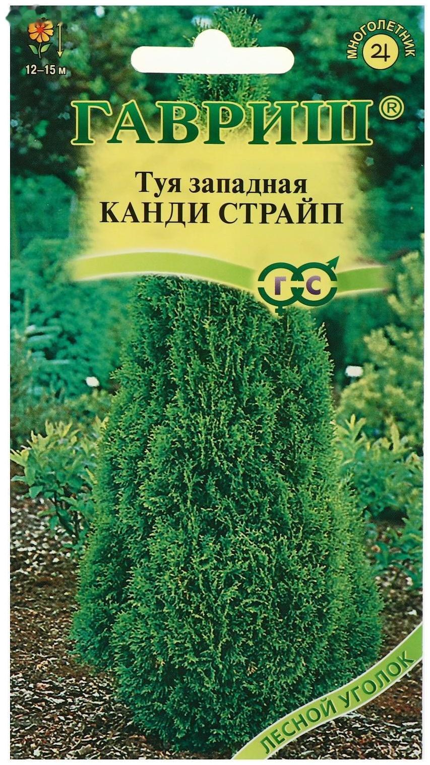 Семена Туя западная 